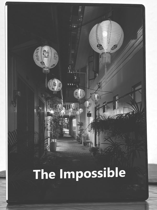 Leben in Thailand - Filme - The Impossible